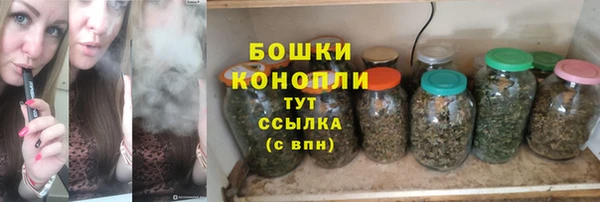 тгк Нея