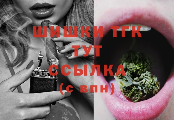 тгк Нея