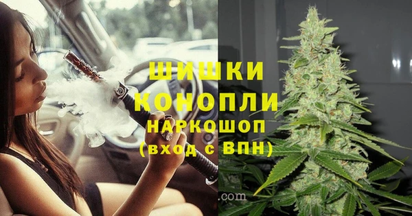 ПСИЛОЦИБИНОВЫЕ ГРИБЫ Нефтегорск