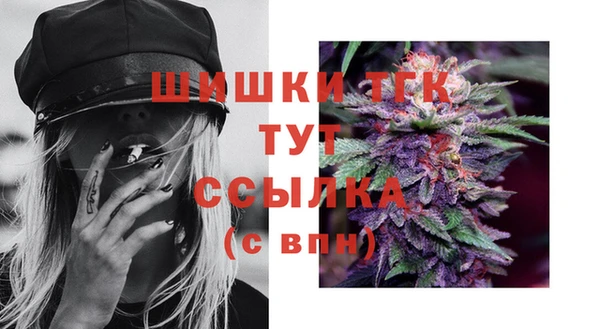тгк Нея